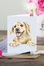 Wrendale Design Card-Golden Boy Gift Enclosure
