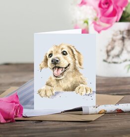 Wrendale Design Card-Golden Boy Gift Enclosure
