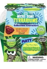 Zibbers Micro Dome Terrariums Asst. FINAL SALE