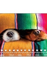 Wiggles and Whiskers Card-RO/Snuggle Up