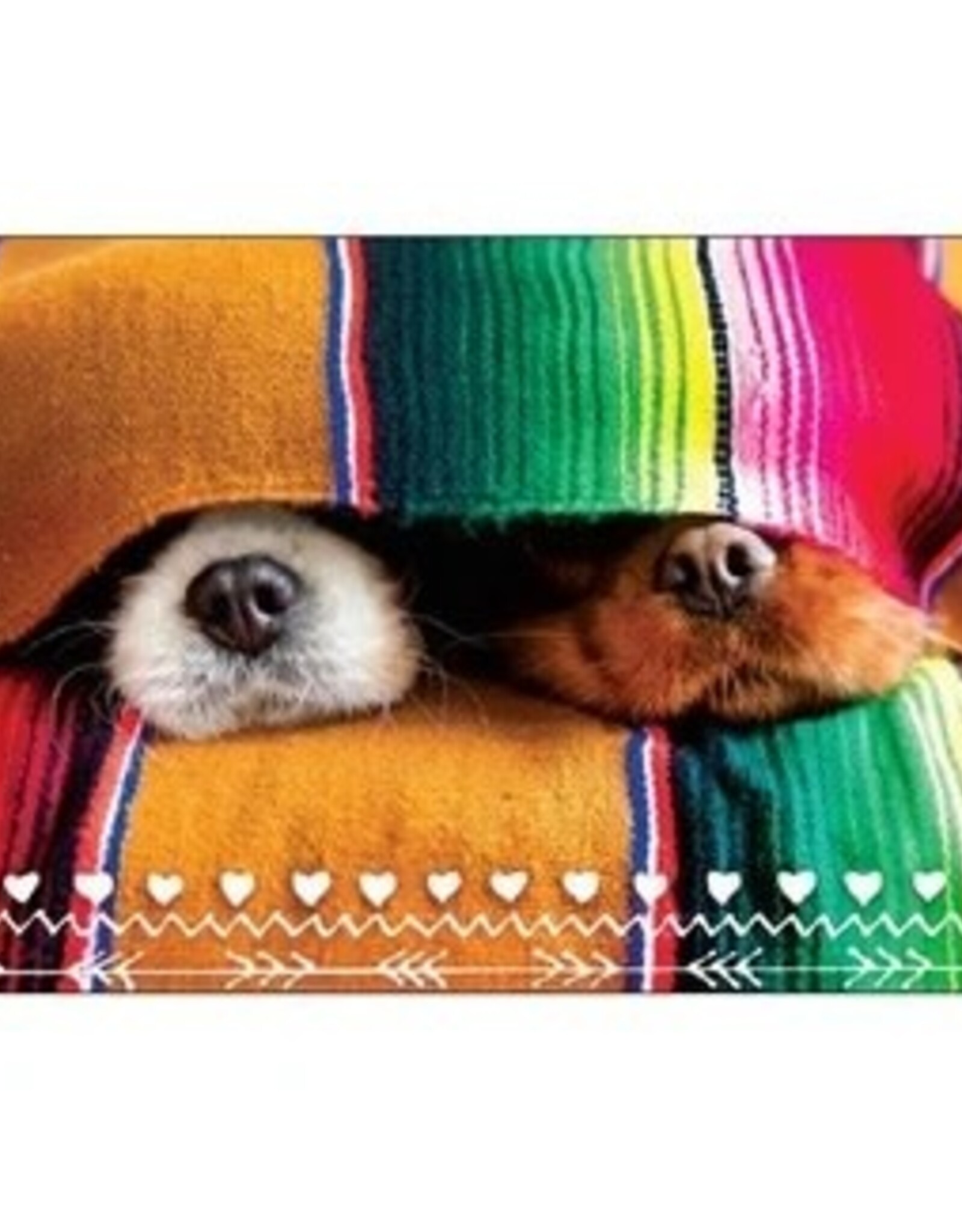 Wiggles and Whiskers Card-RO/Snuggle Up