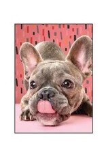 Wiggles and Whiskers Card-AN/French Kiss