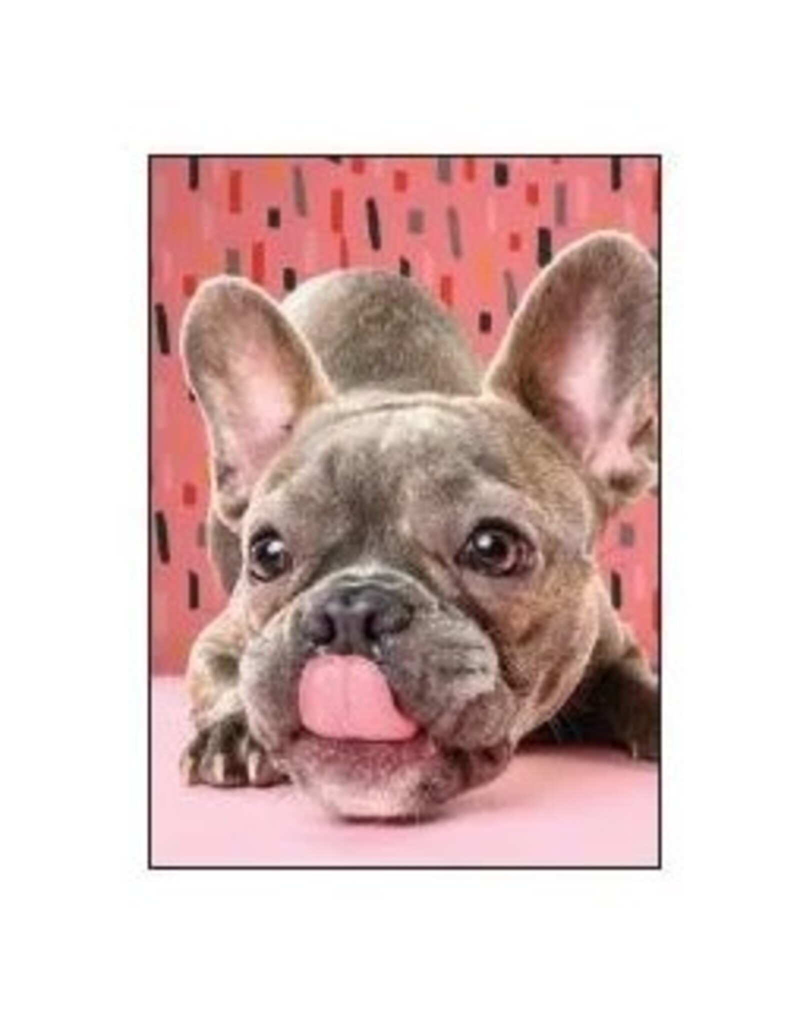 Wiggles and Whiskers Card-AN/French Kiss