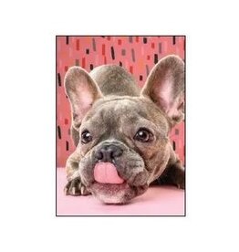 Wiggles and Whiskers Card-AN/French Kiss