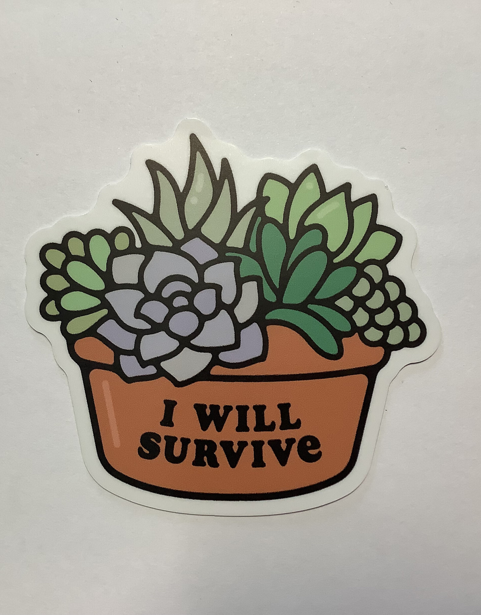 Stickers NW I WILL SURVIVE SUCCULENT POT STICKER