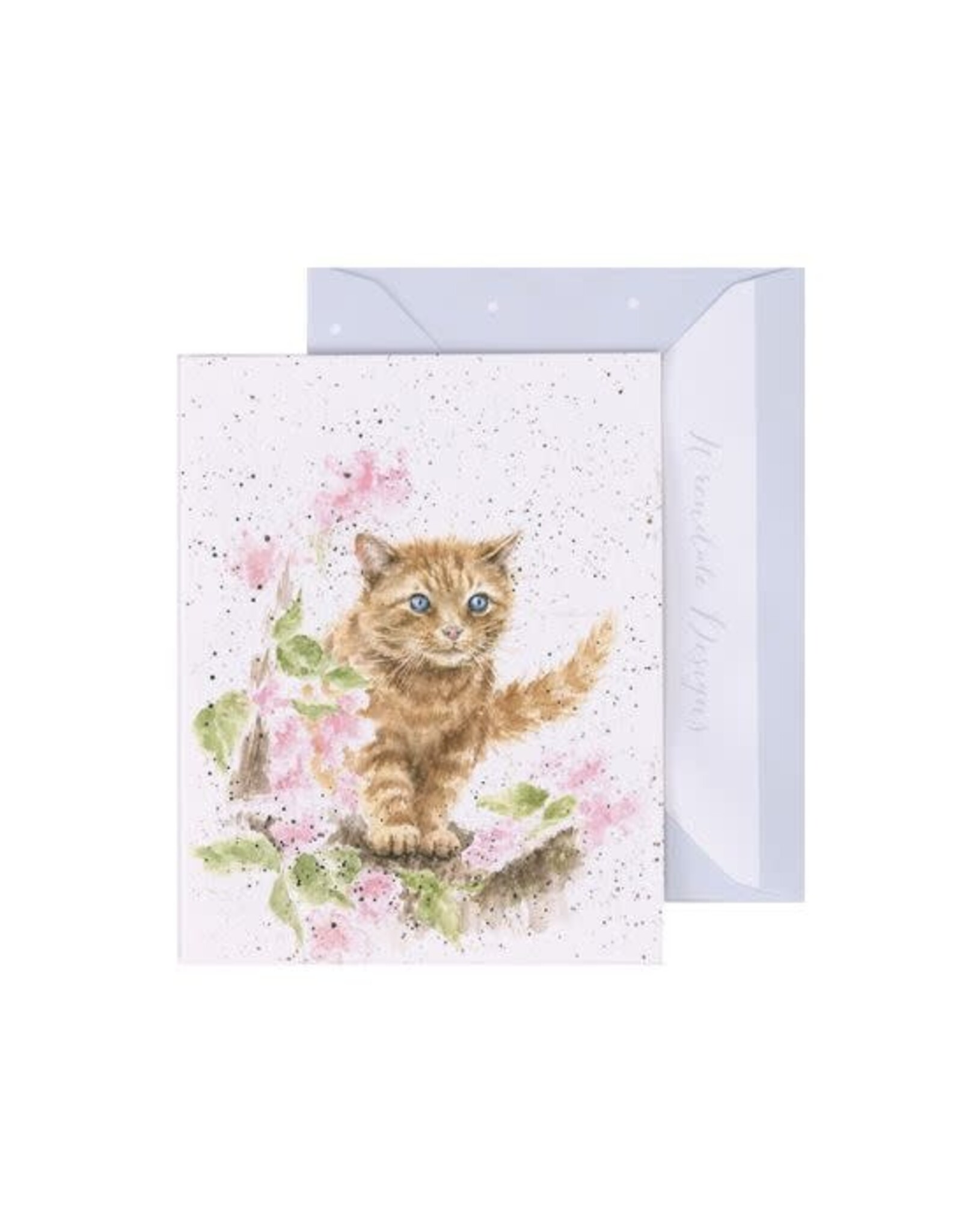 Wrendale Design Card-The Marmalade Cat Gift Enclosure