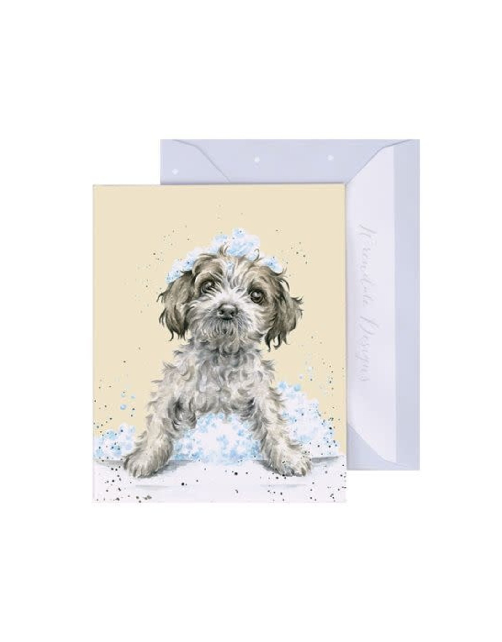 Wrendale Design Card-Birthday Bubbles Gift Enclosure