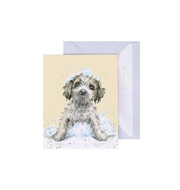 Wrendale Design Card-Birthday Bubbles Gift Enclosure