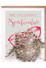 Wrendale Design Card - Spectacular (Owl) Single