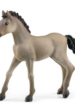 Schleich Criollo Definitivo Foal 13949