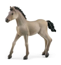 Schleich Criollo Definitivo Foal 13949