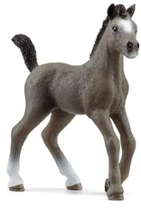 Schleich Cheval de Selle Fr. foal 13957