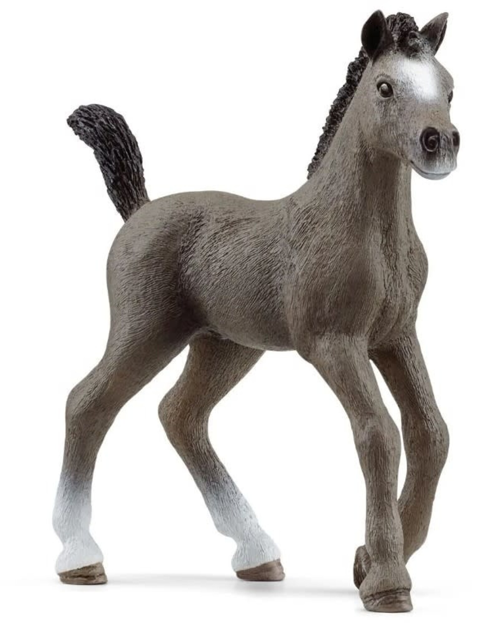 Schleich Cheval de Selle Fr. foal 13957
