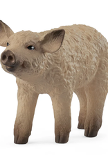 Schleich Mangalica Piglet 14893