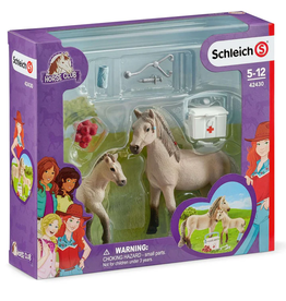 Schleich Horse Club Hannah's first-aid kit 42430