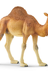 Schleich Dromedary - Camel 14832
