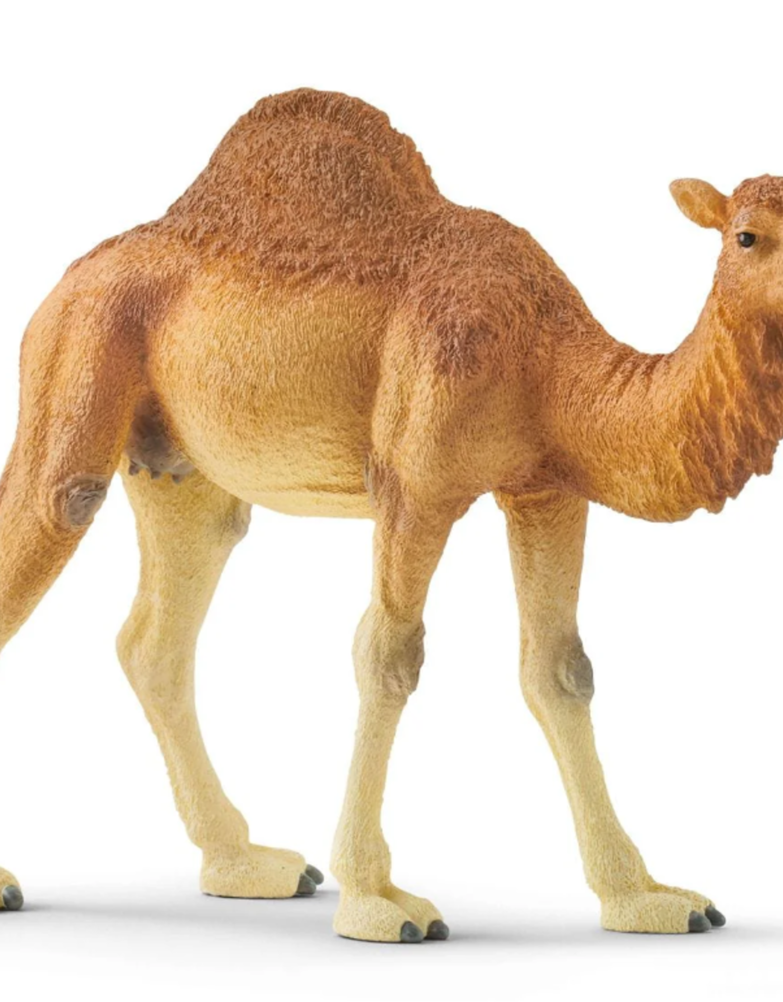 Schleich Dromedary - Camel 14832