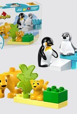 LEGO 10442 Wild Animal Families - Penguins & Lions