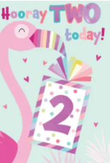 Incognito Card - Hooray Two Today - Girl