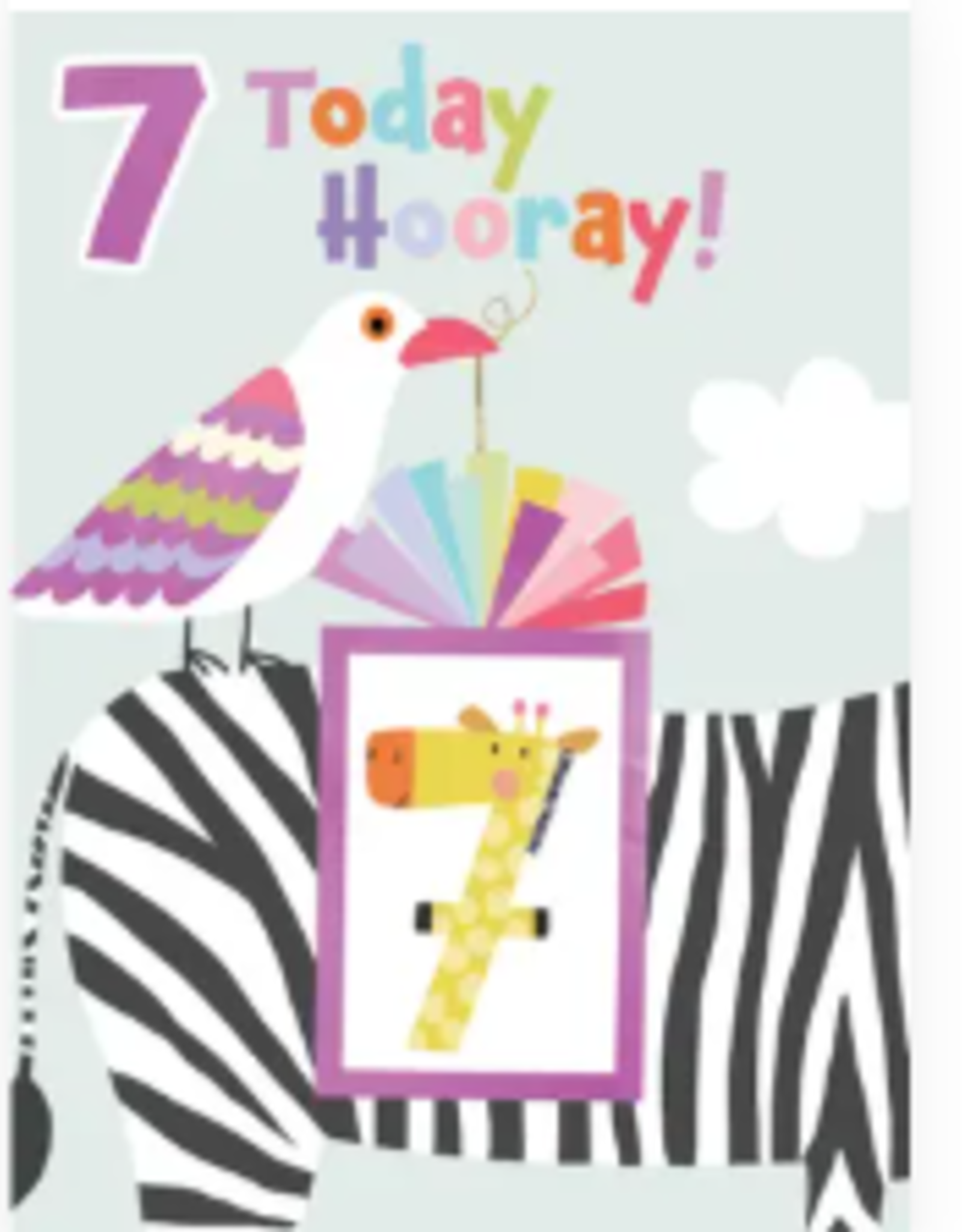 Incognito Card - 7 Today Hooray! - Girl