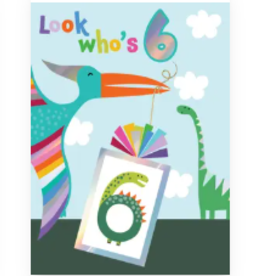 Incognito Card - Look Who's 6 - Boy