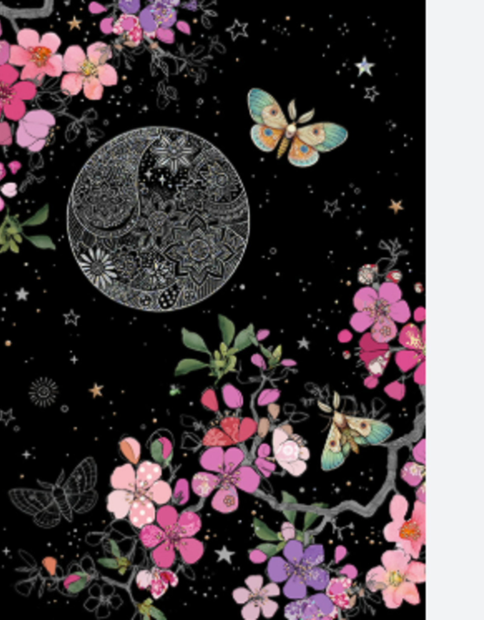 Bug Art Greeting Card - Moth
