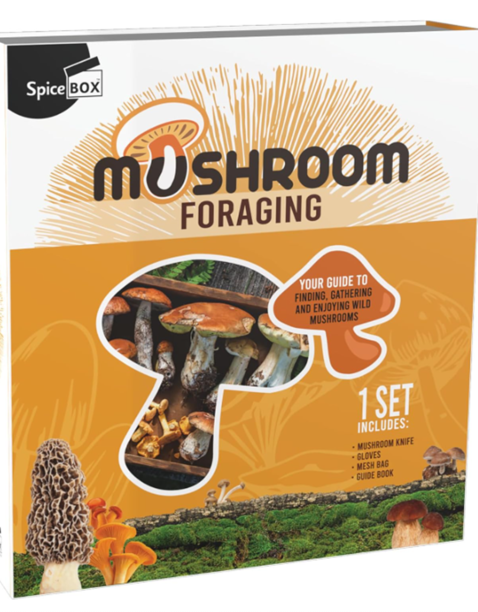 SpiceBox Gift Box Mushroom Foraging