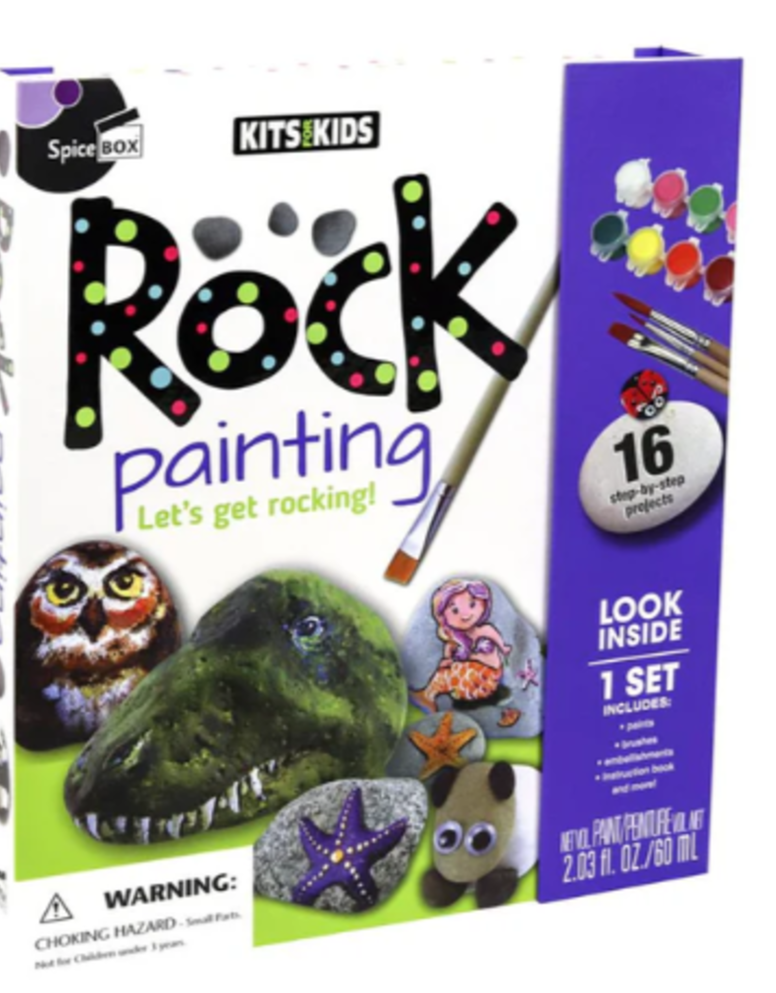 SpiceBox Kits for Kids Rock Painting