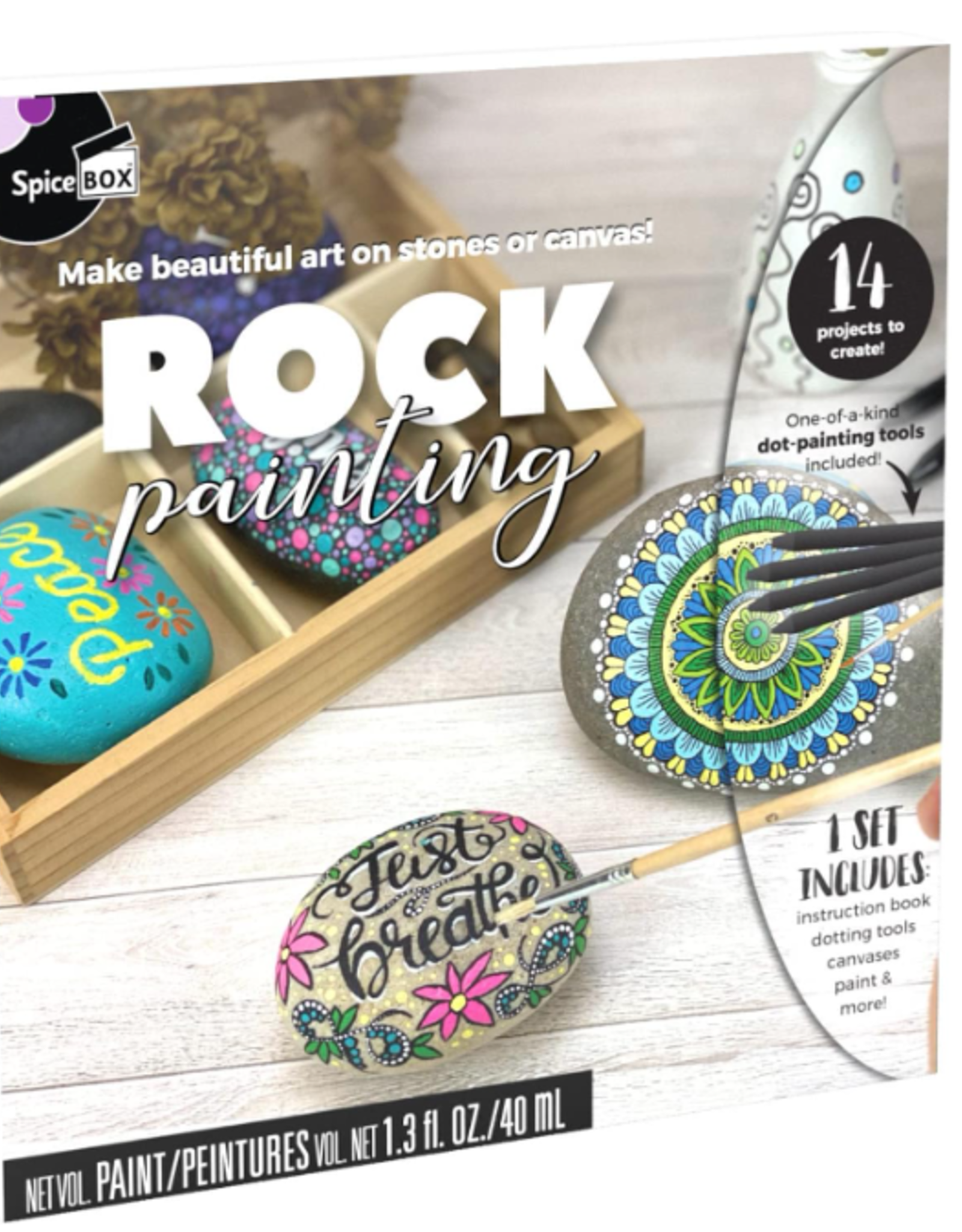 SpiceBox Sketch Plus Rock Painting