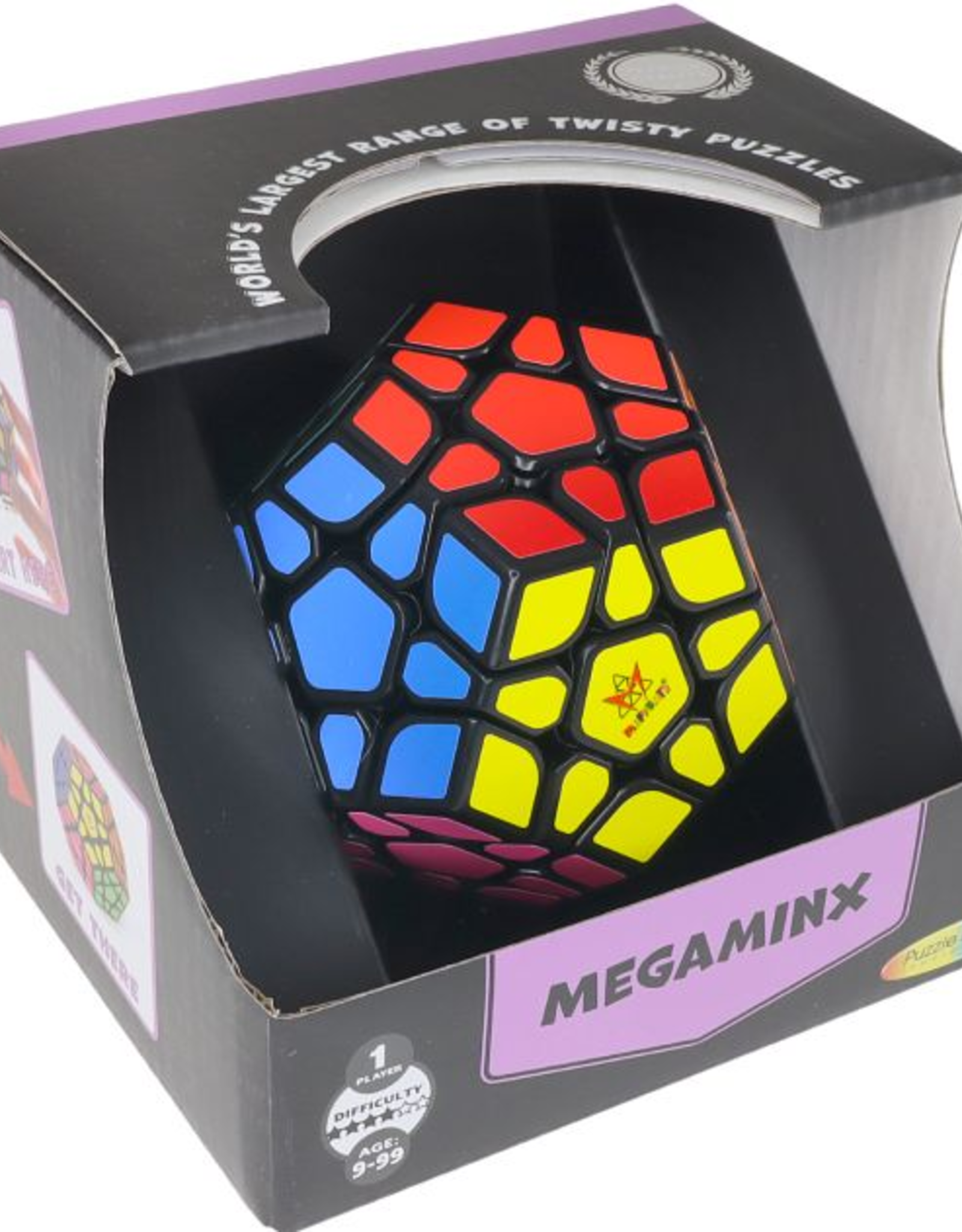 Puzzle Master Megaminx Puzzle