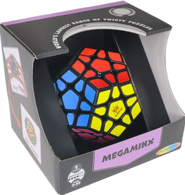 Puzzle Master Megaminx Puzzle