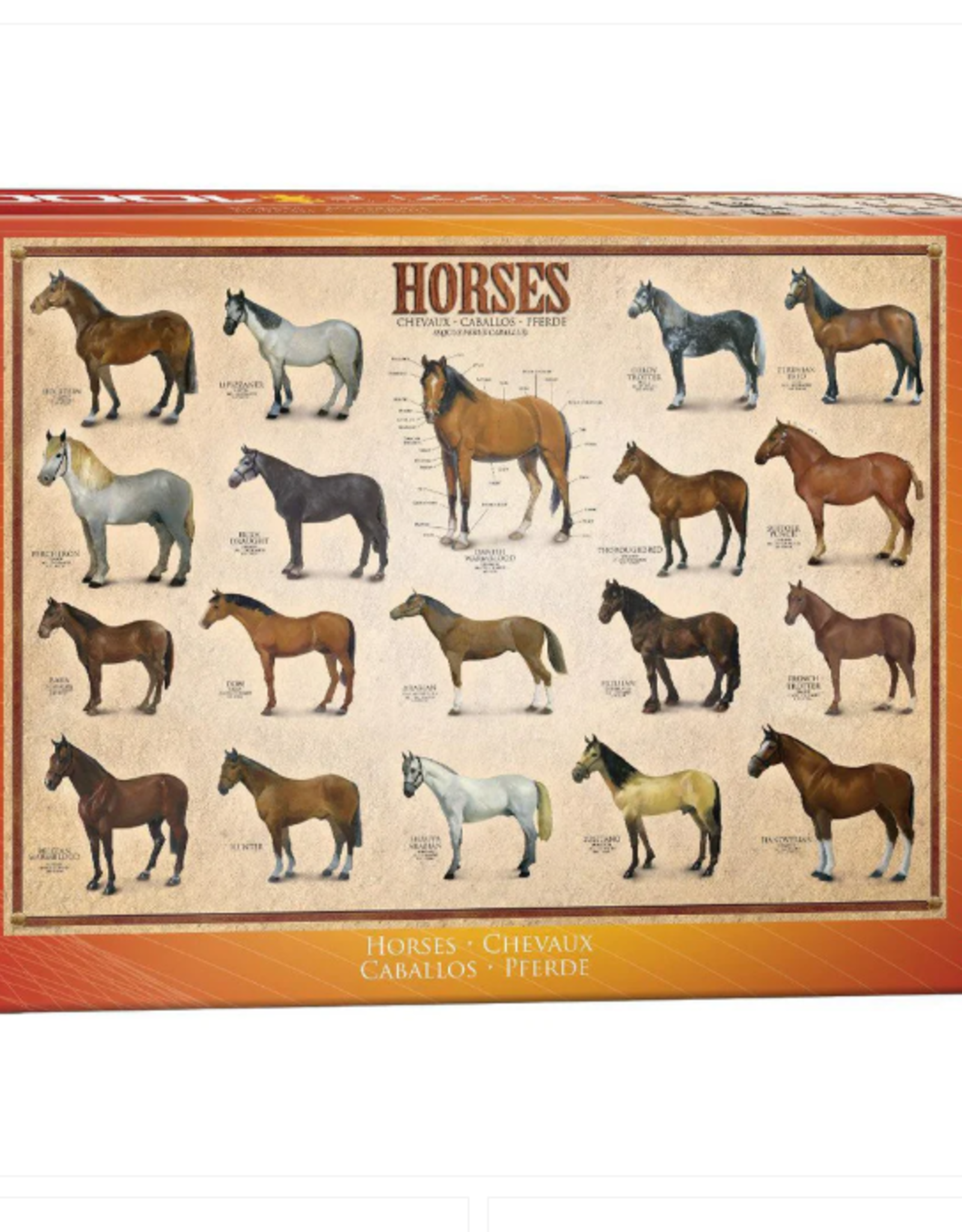 Eurographics Horses - 1000pc