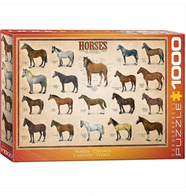 Eurographics Horses - 1000pc
