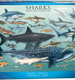 Eurographics Sharks - 1000pc