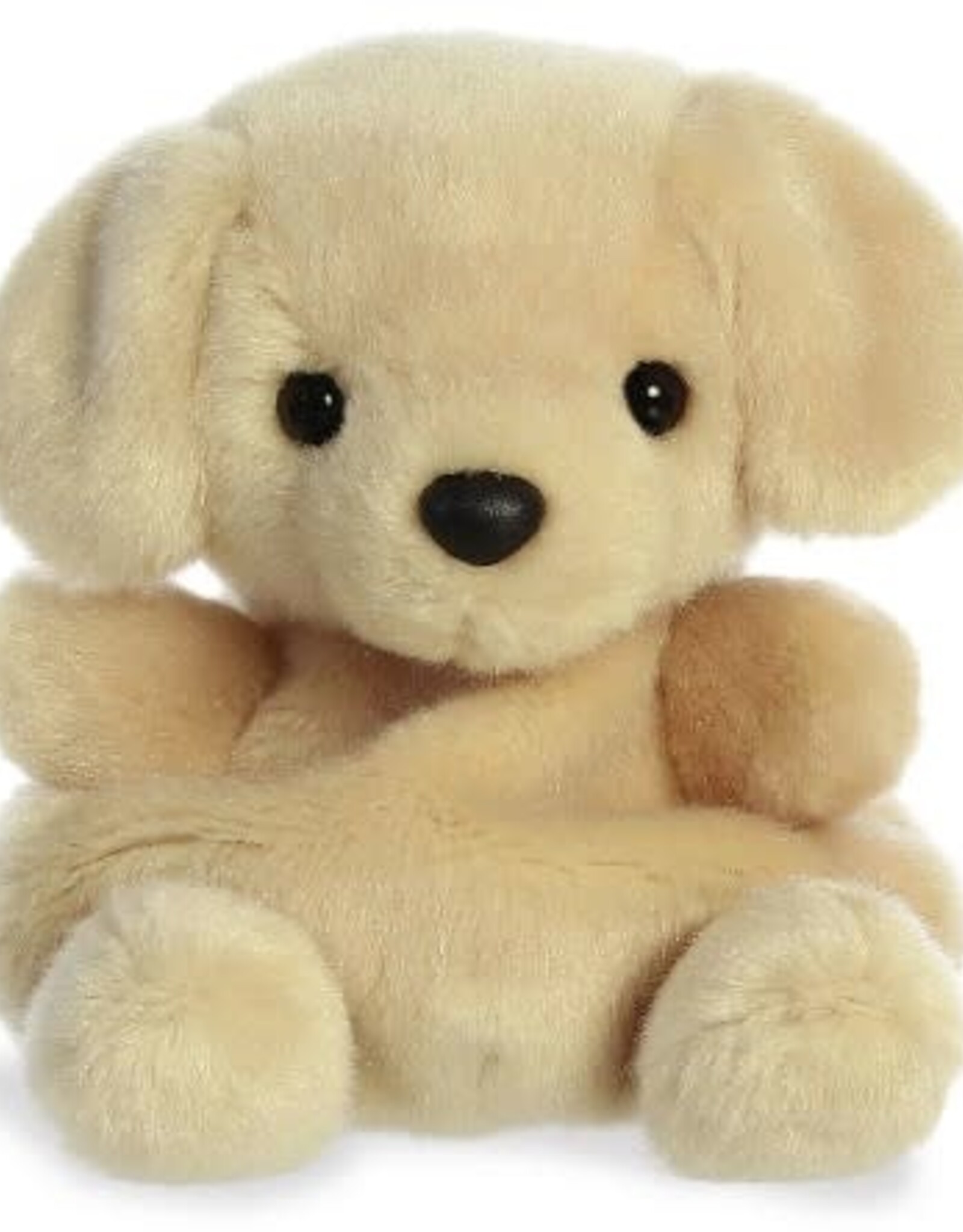 Aurora PALM PALS - SUNNY LAB 5"