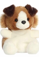 Aurora PALM PALS - Fia Sheltie 5