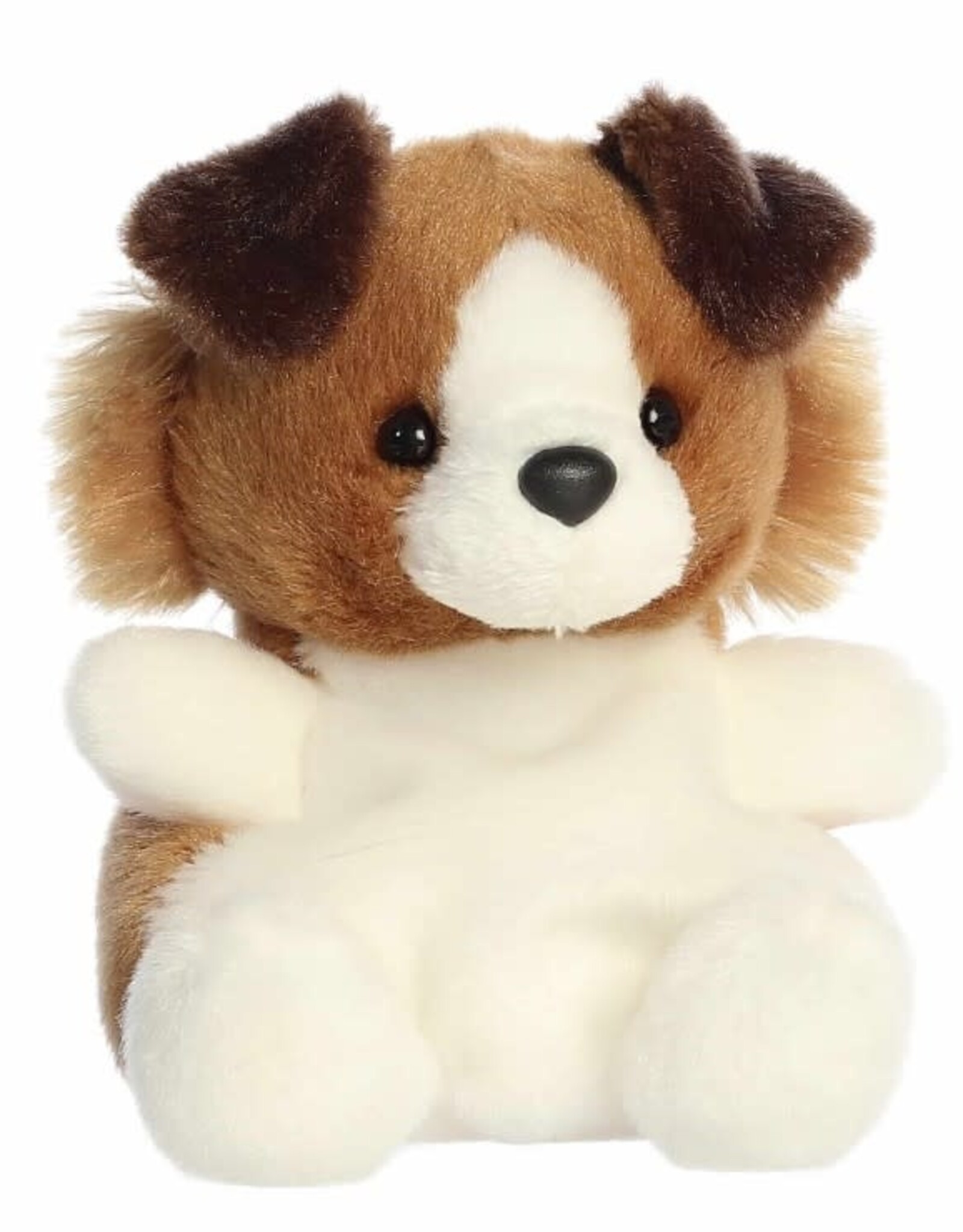 Aurora PALM PALS - Fia Sheltie 5