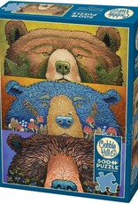 Cobble Hill Bear Eyes - Harvest 500pc