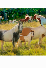 Gifts From The Heart Painted Horses 1000pc