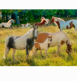 Gifts From The Heart Painted Horses 1000pc
