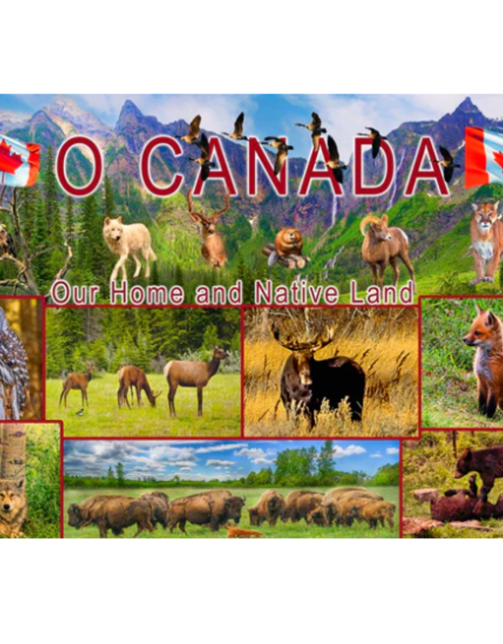 Gifts From The Heart O Canada  1000pc