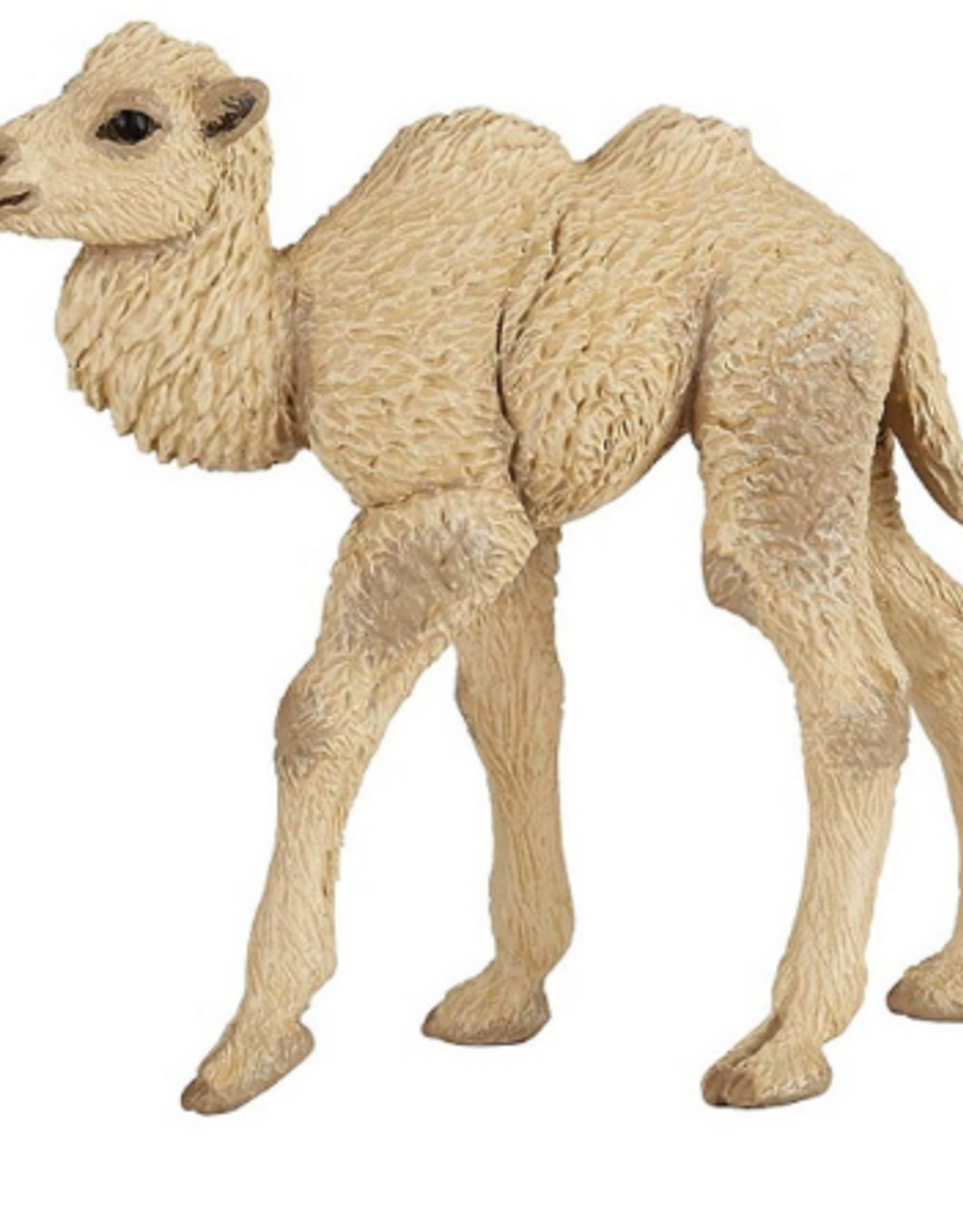 Papo PAPO CAMEL CALF