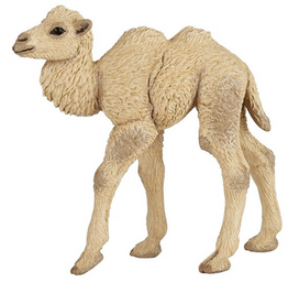 Papo PAPO CAMEL CALF