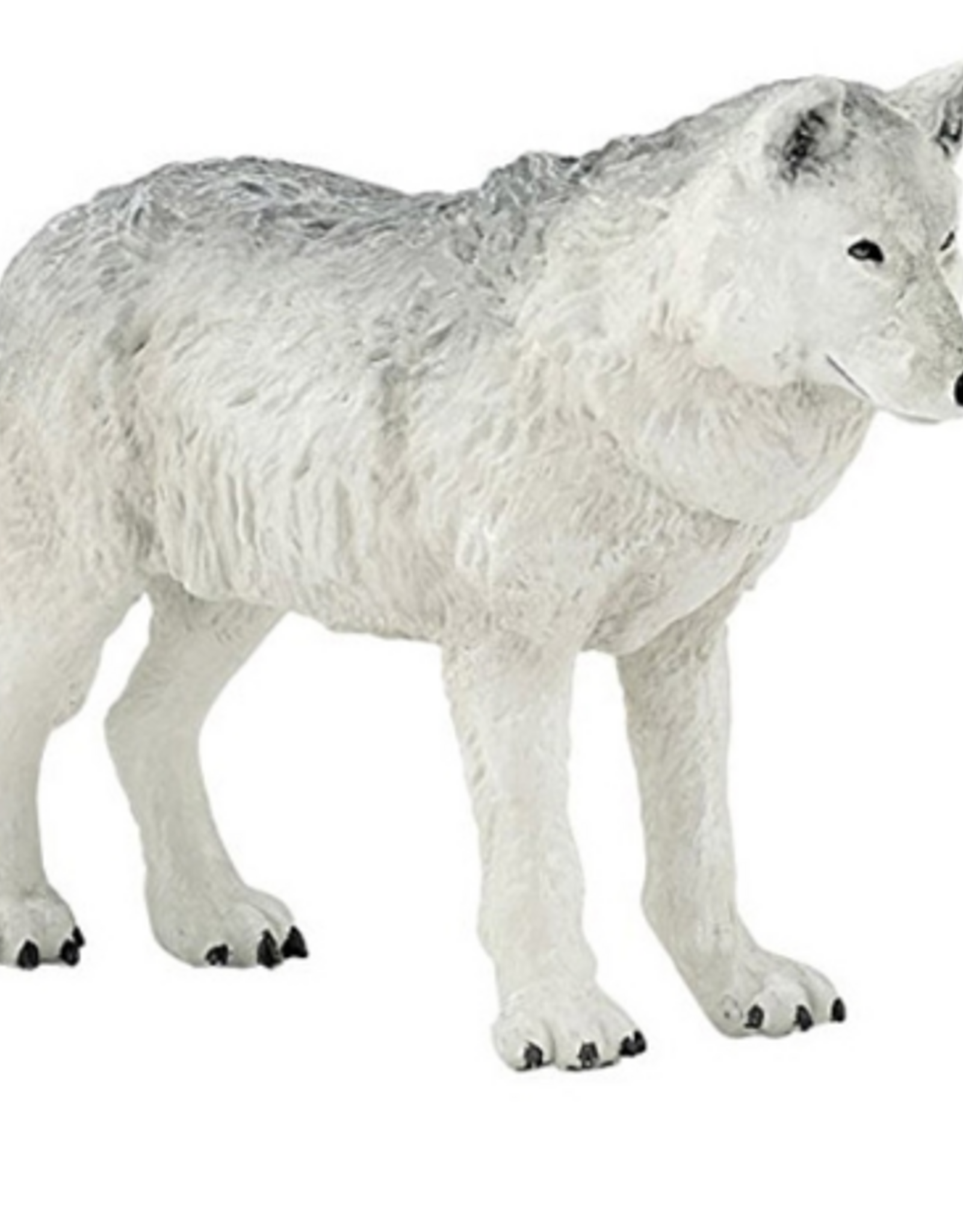 Papo PAPO POLAR WOLF