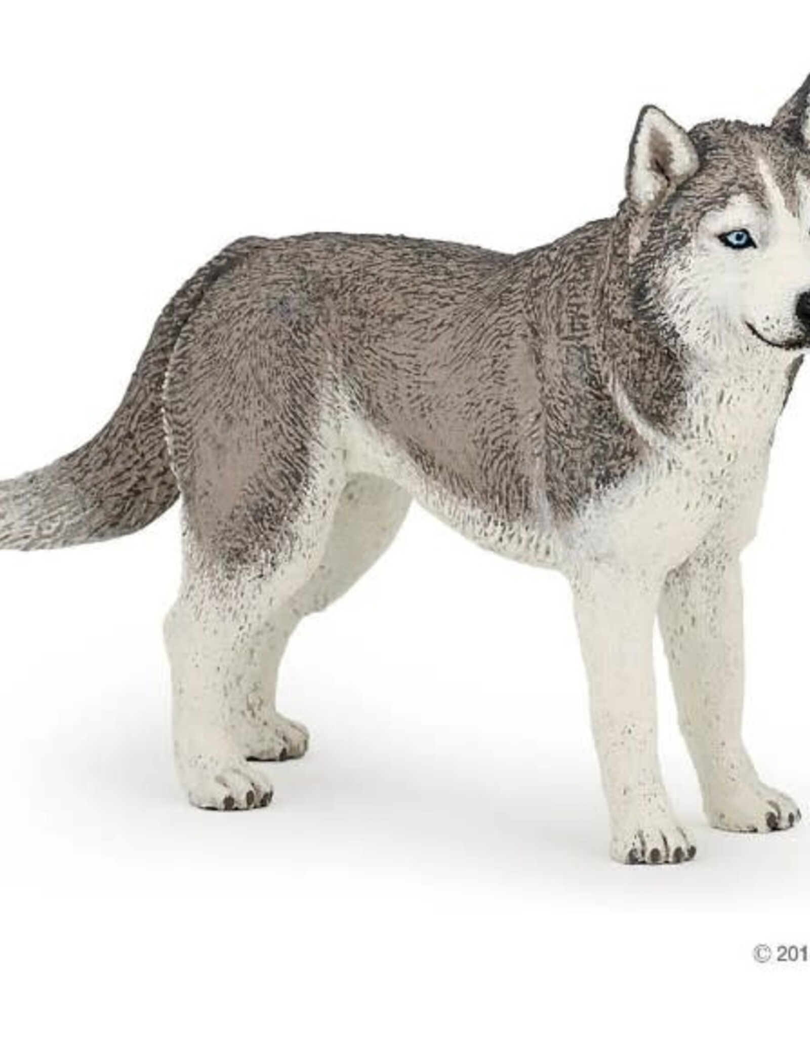 Papo PAPO SIBERIAN HUSKY