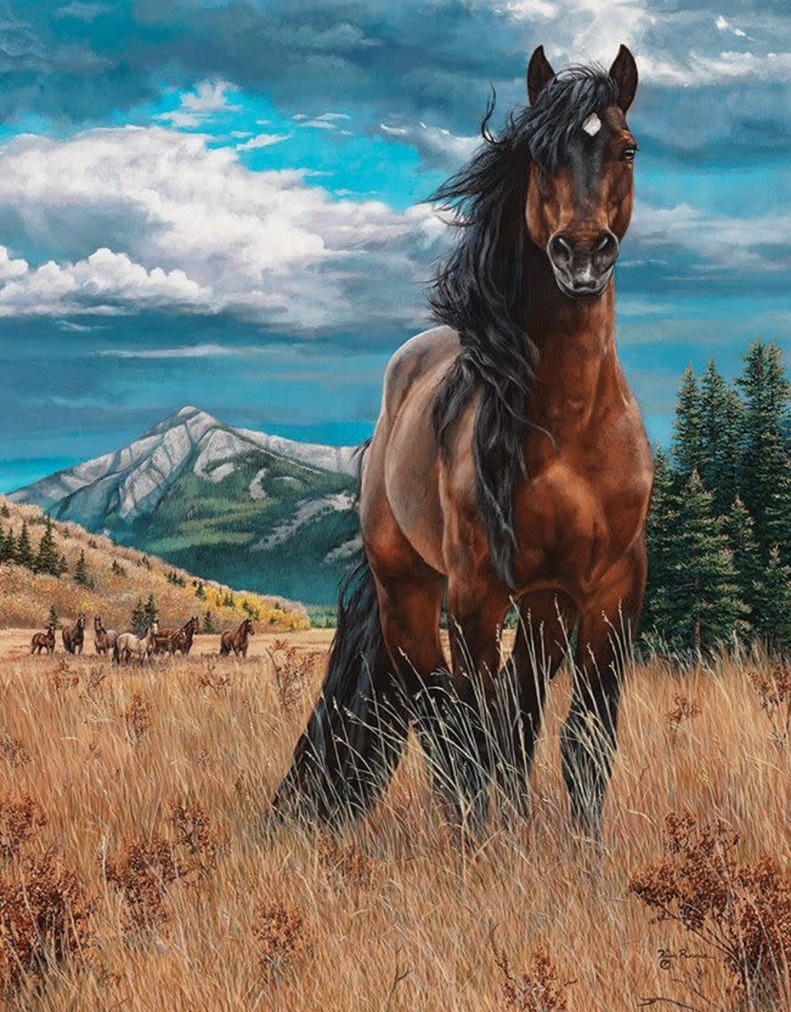 Cobble Hill Freedom 1000pc (CH80109)