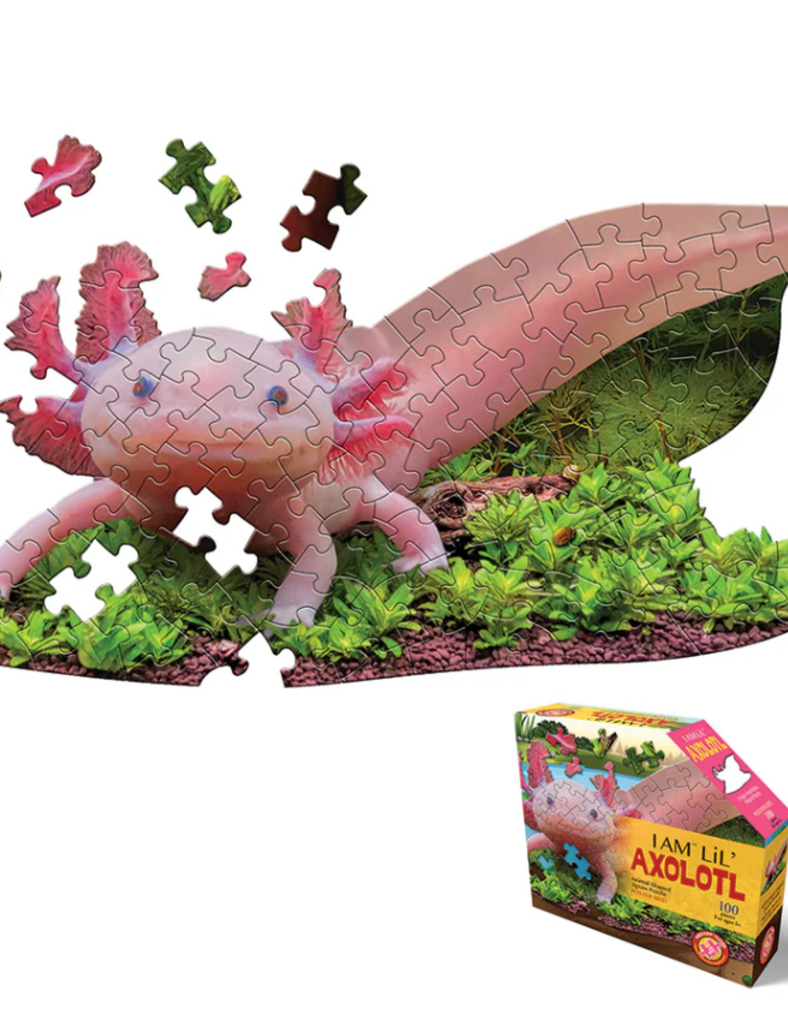 I AM Lil' Axolotl (100 pc)