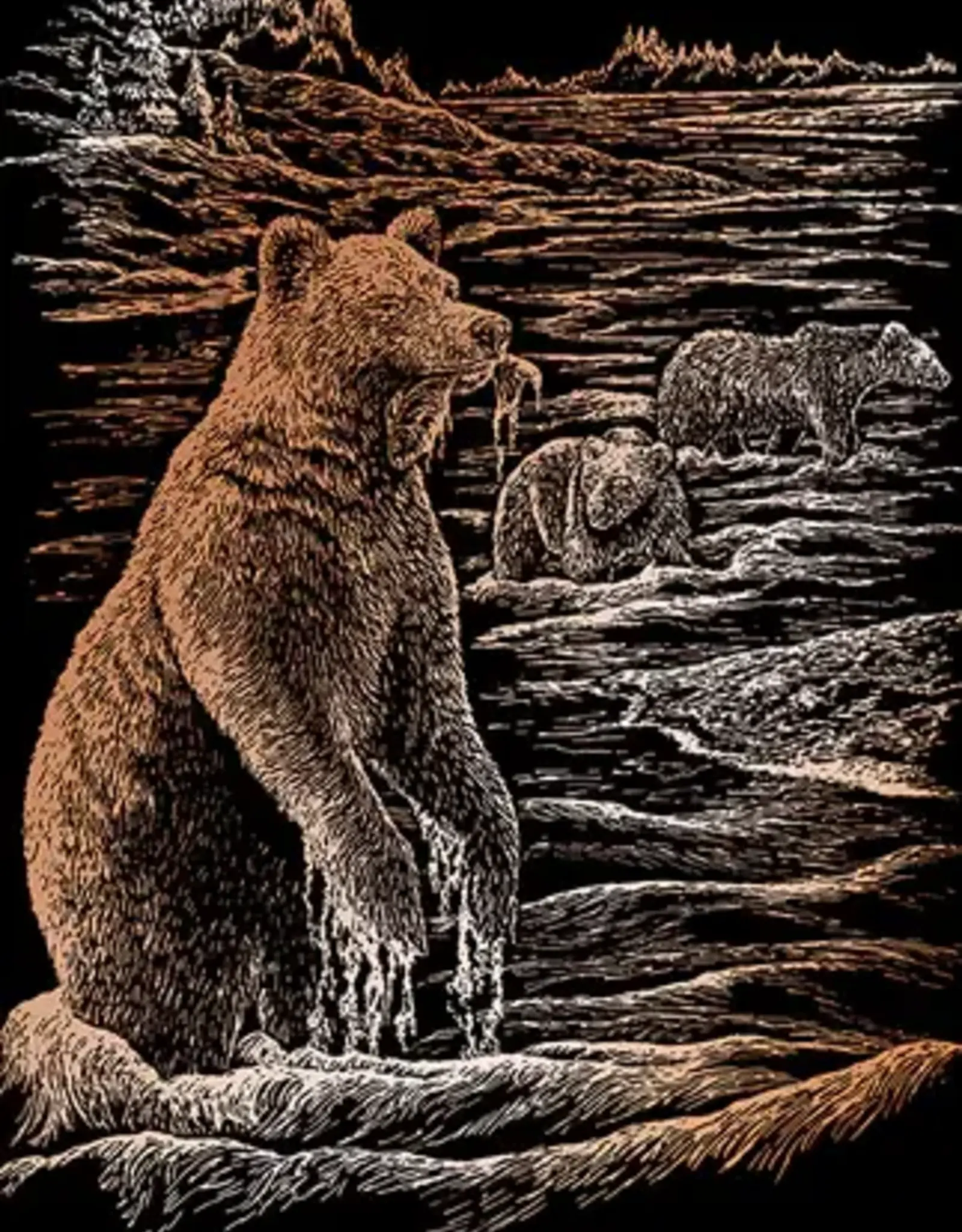 EGRVart Grizzly Bears