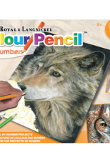 Colour Pencil Set - American Wildlife