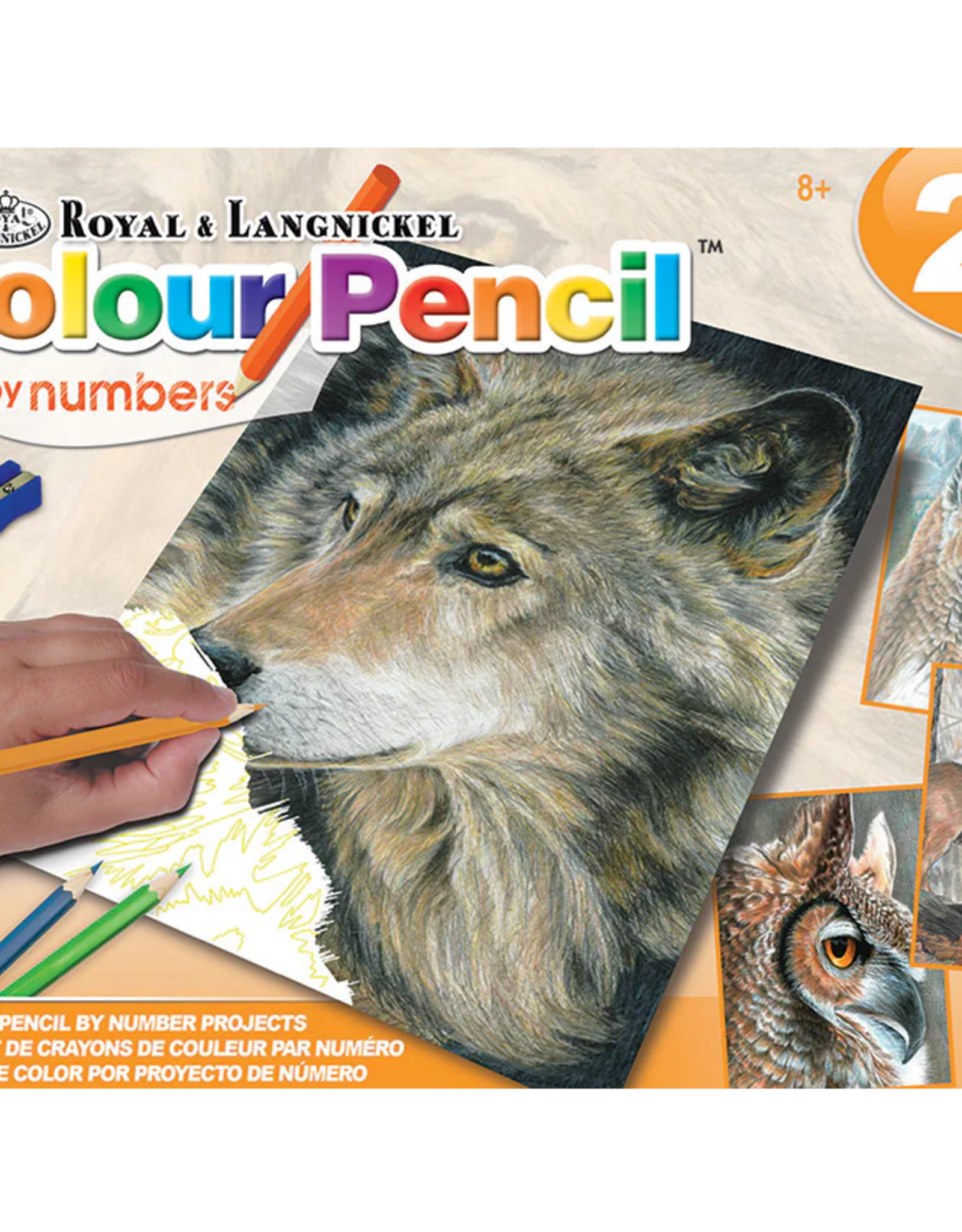 Colour Pencil Set - American Wildlife